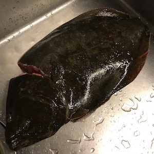 Today S Menu Blog 左ヒラメ右カレイ 居間居酒屋ハマヤマ