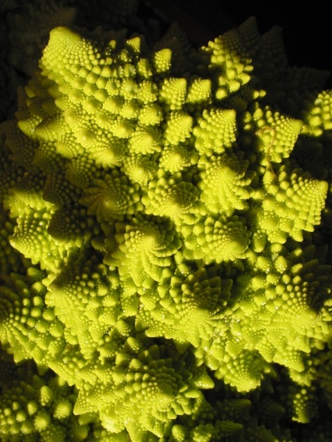Chou_Romanesco